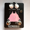 Fussrocious Anomalies in Fussrocious Anomalies