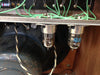 1951 Fender Tweed TV 