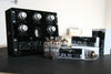 Gurus Amp EchoSex2 in Gurus Amp EchoSex2