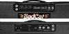 Bad Cat Amps Classic Cat 20R 1x12 Combo in Bad Cat Amps Classic Cat 20R 1x12 Combo