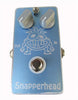 Synaptic Groove Snapperhead in Synaptic Groove Snapperhead